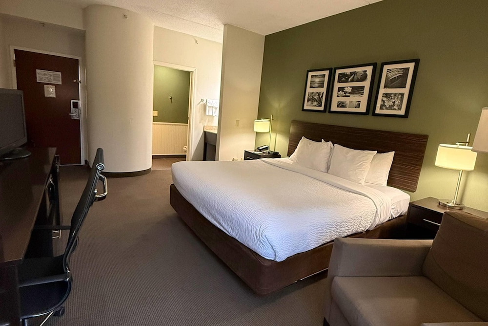 Standard, King Bed