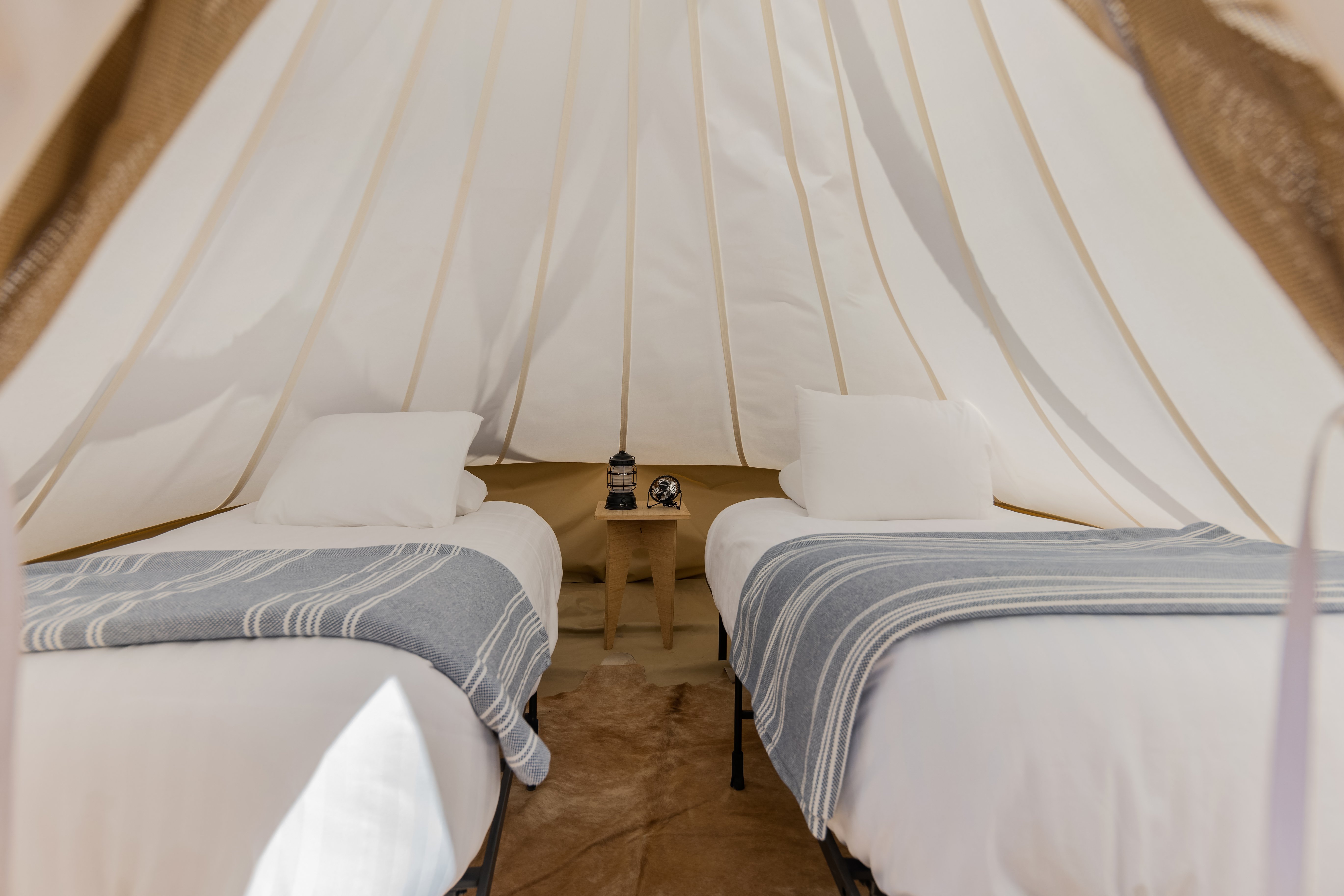 Under Canvas Zion 24/50