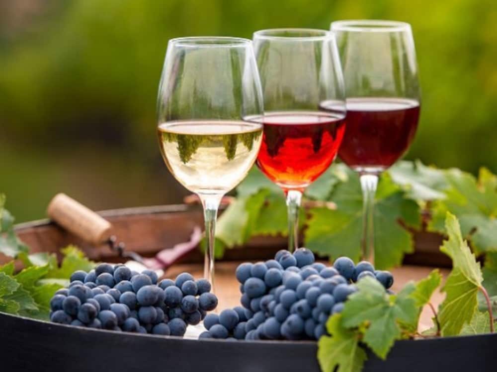ホテル バリアンリゾート東新宿 写真5