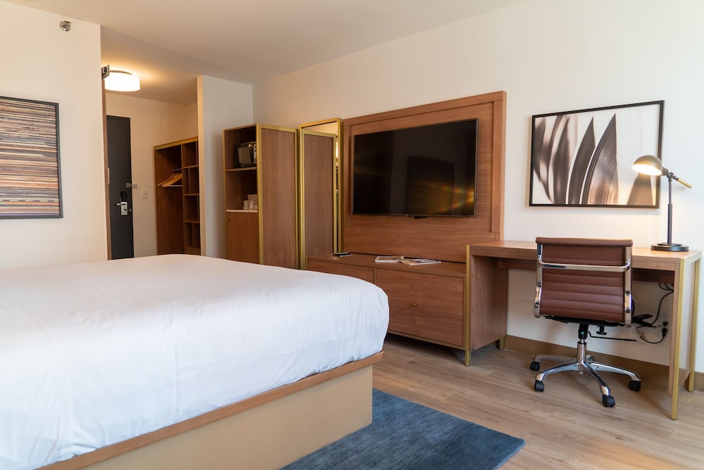 Hotel Indigo Detroit Downtown 32/71