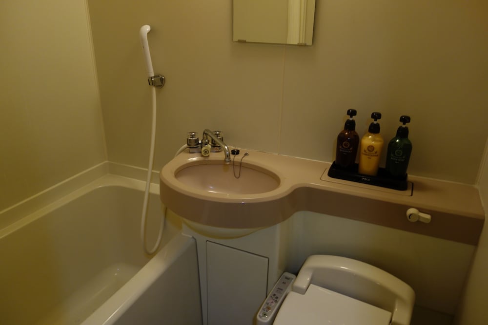 Dormy Inn Express Asakusa 67/67