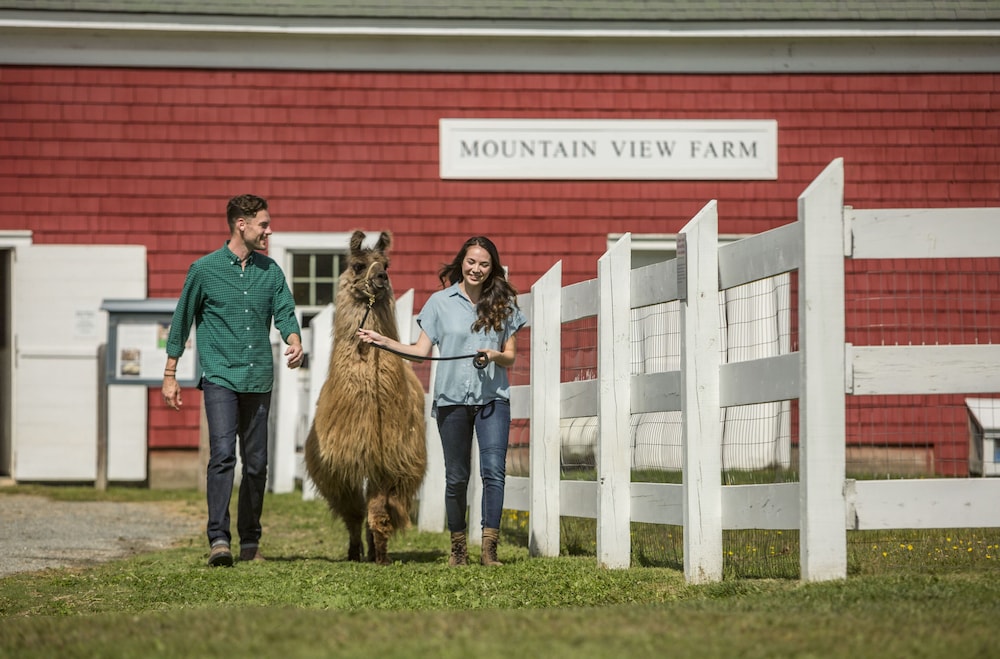 Mountain View Grand Resort and Spa 46/72
