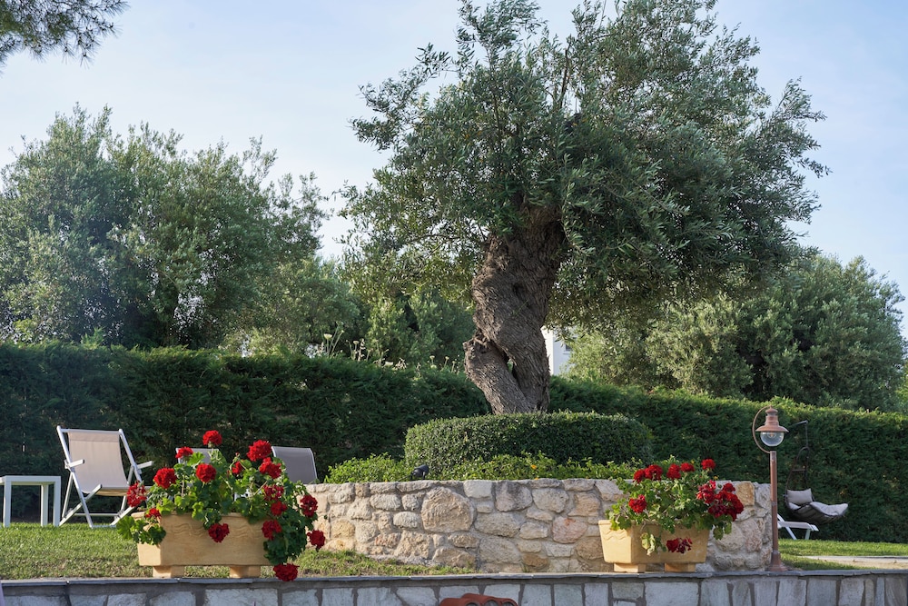 Mirabilia Boutique Hotel 80/86