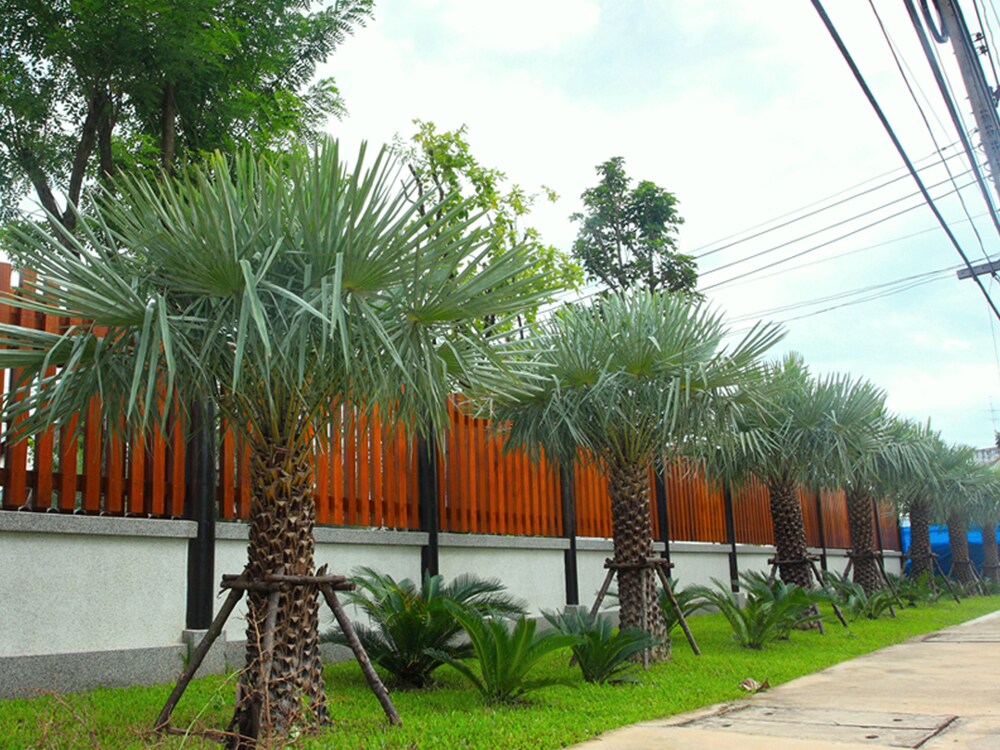 Baan Siriporn Resort 65/68
