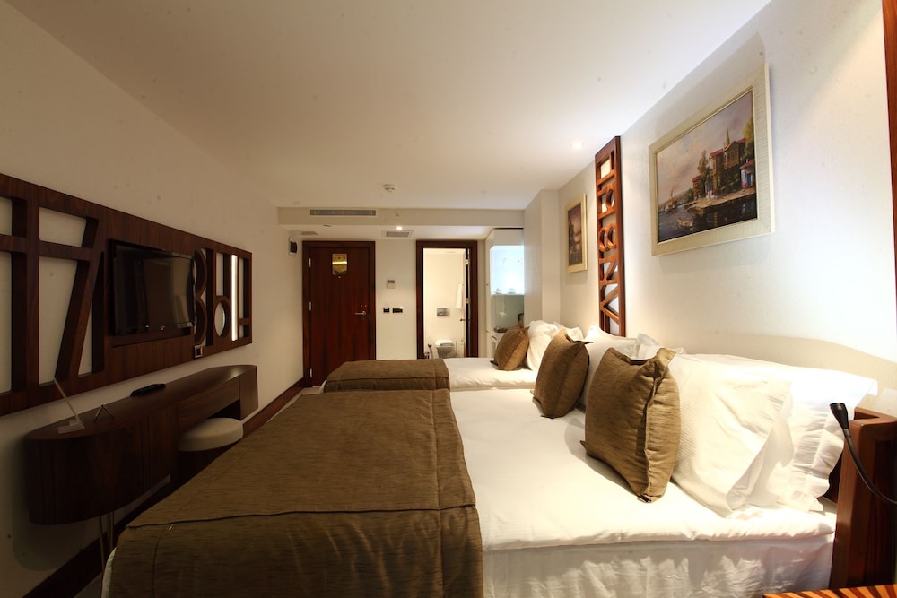 Victory Hotel & Spa Istanbul 14/38