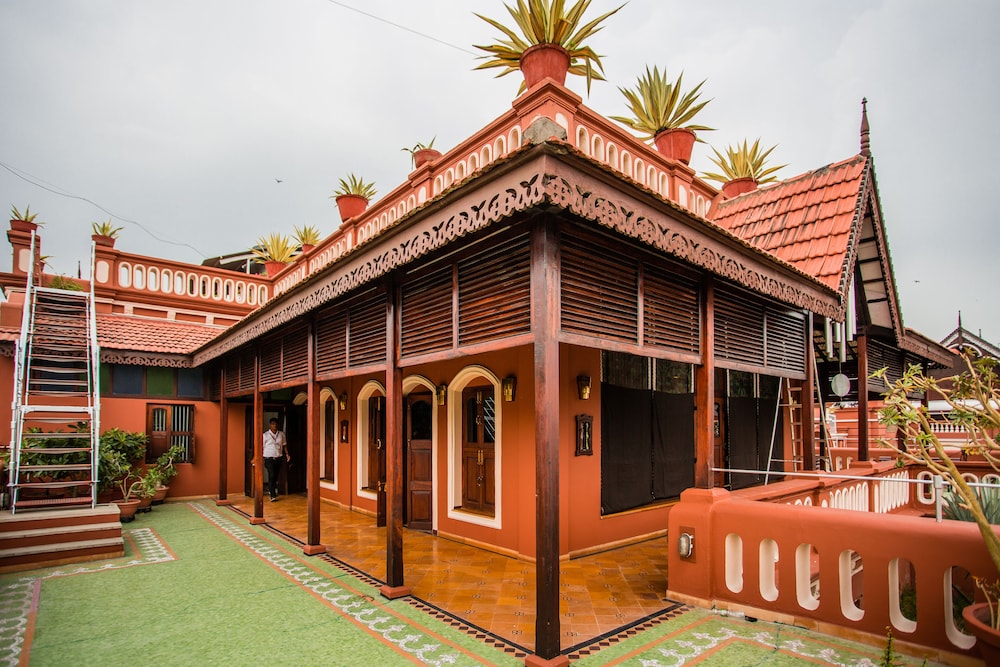 The House of Mg 5/50