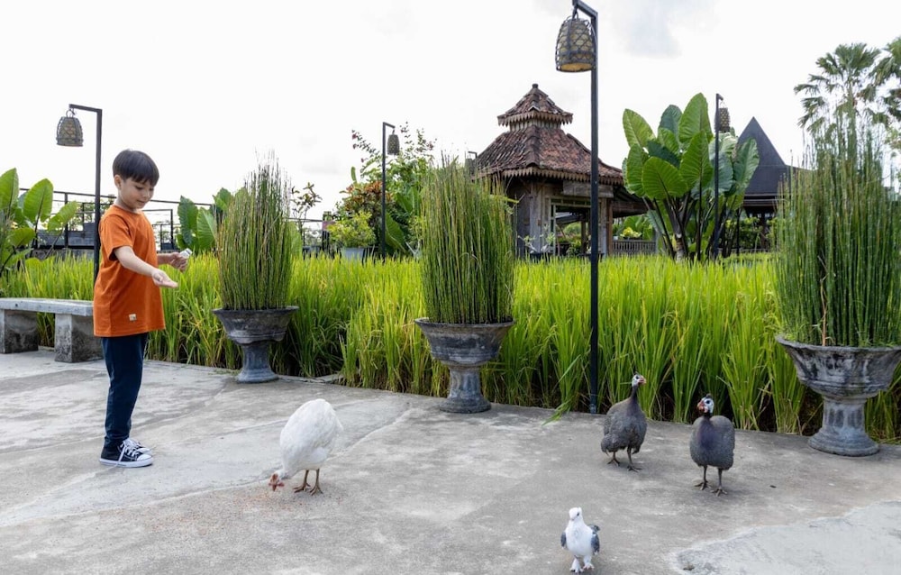 Abhayagiri - Sumberwatu Heritage Resort 35/55