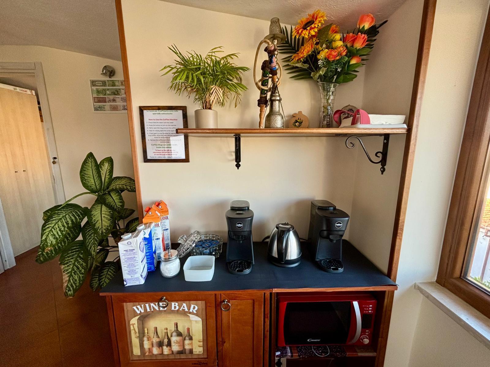 B&B Buena Vista 3/19