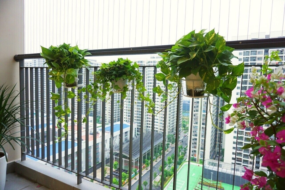 Park Hill Times City Apartment 7/65