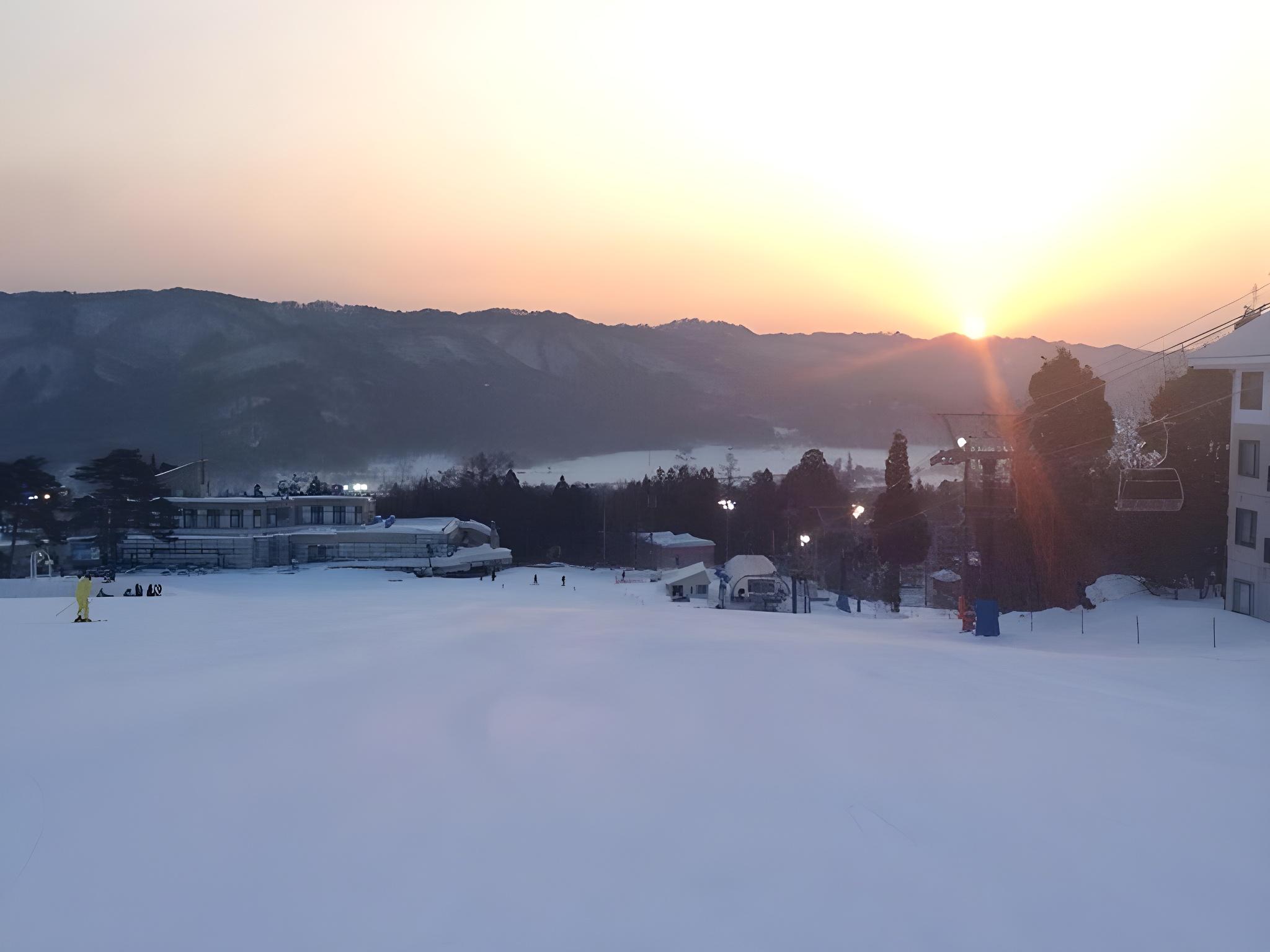 Green Grass Hakuba 47/49
