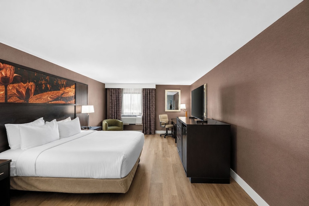 Room, King Bed, Parlor, Sofa