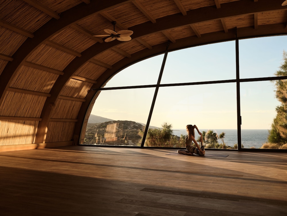 Acro Suites a Wellbeing Resort 23/50