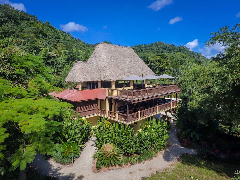 Sleeping Giant Rainforest Lodge 4/51