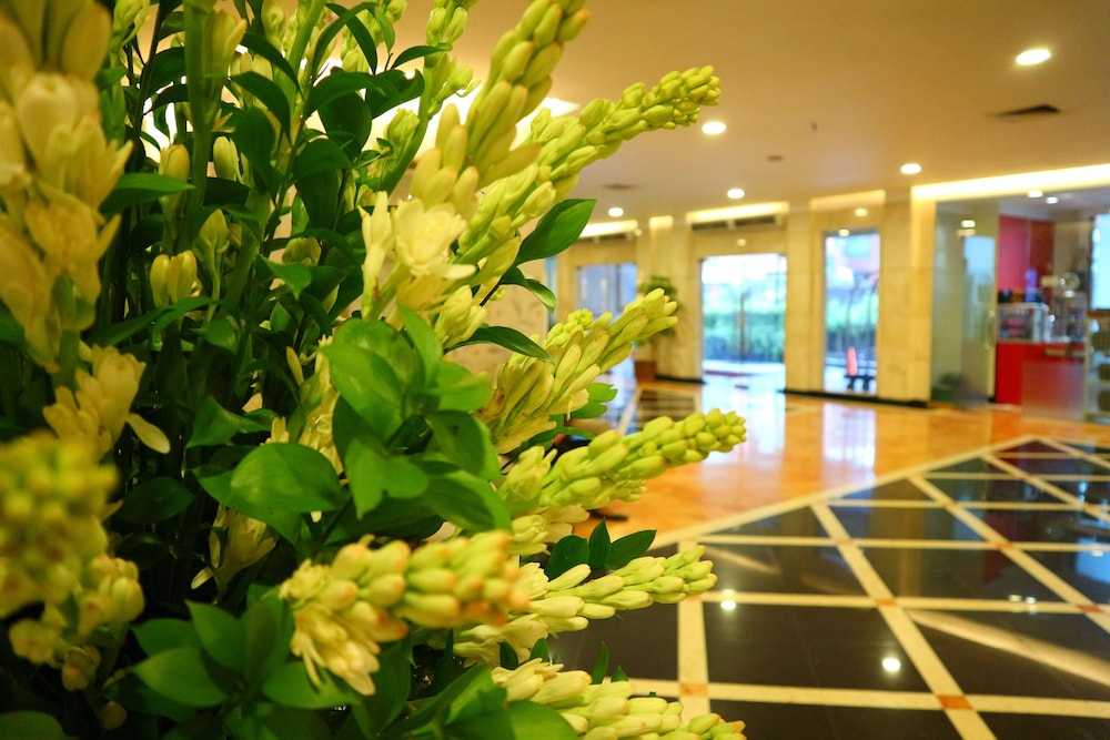 Arcadia Mangga Dua By Horison 23/25