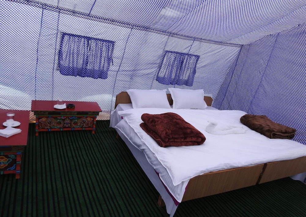 Eco Travellers Camp 2/27