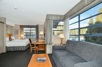 Junior Suite, Studio