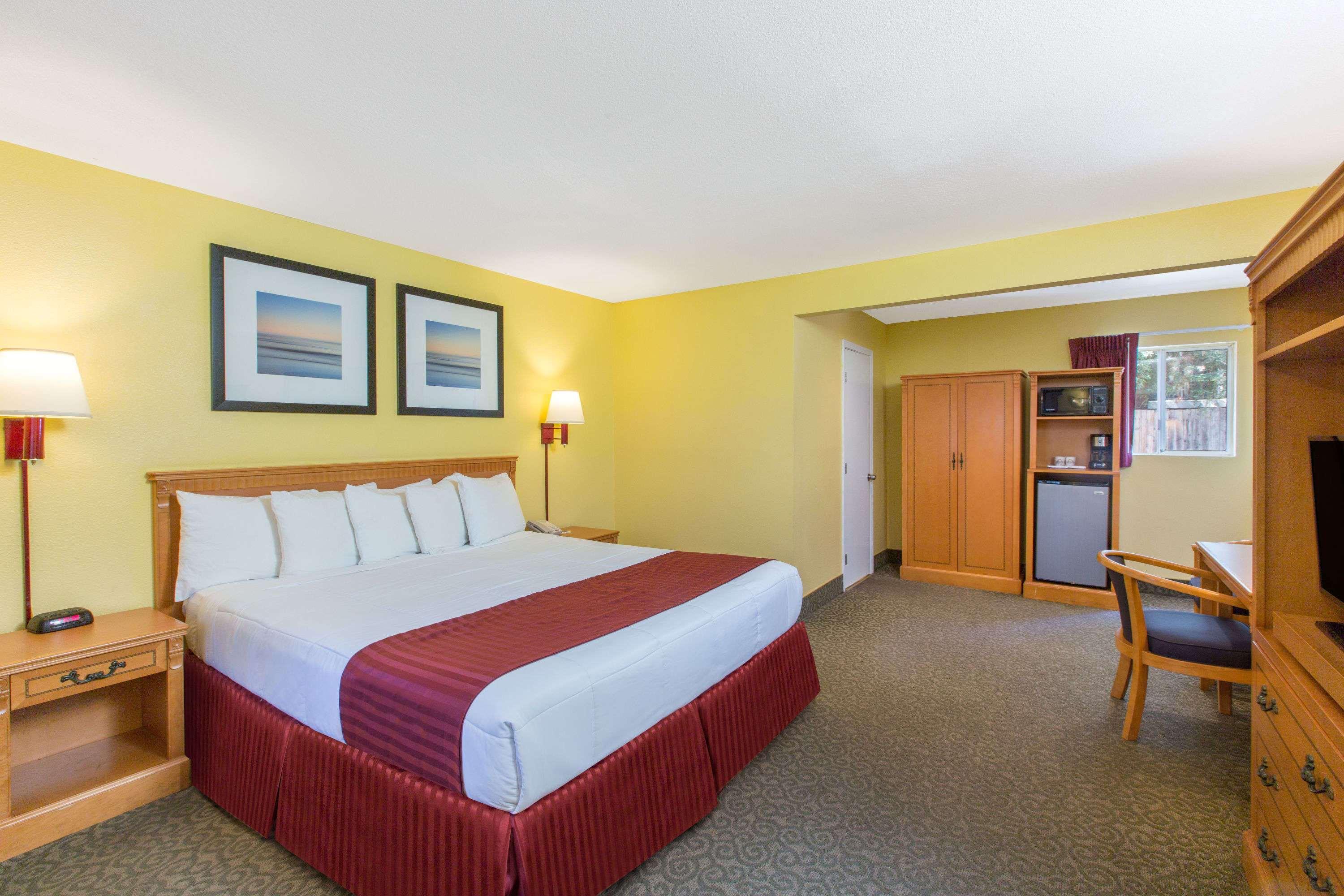 Room, King Bed