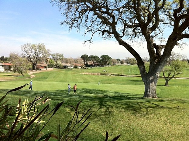 Best Western Plus Black Oak 69/76