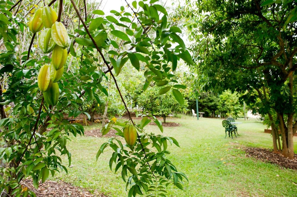GLASS HOUSE MOUNTAINS ECOLODGE 4/34