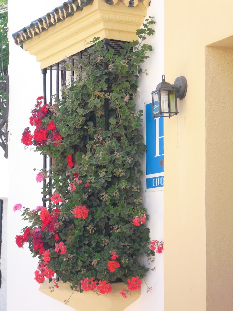 Hotel Ronda 20/24