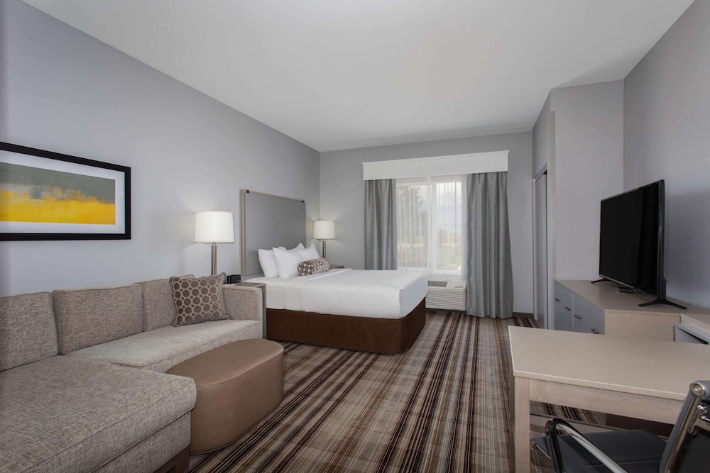Studio, Suite, Queen Bed, Kitchenette