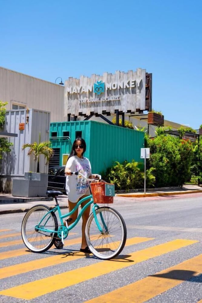 Mayan Monkey Cancun 50/60