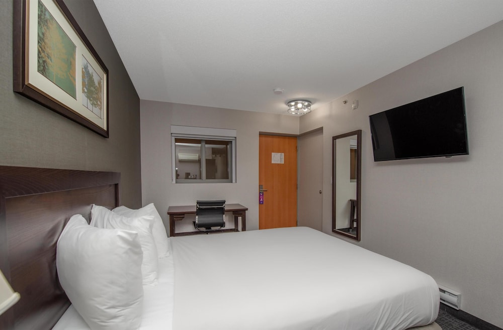 Coast, Basic, Single, Queen Bed