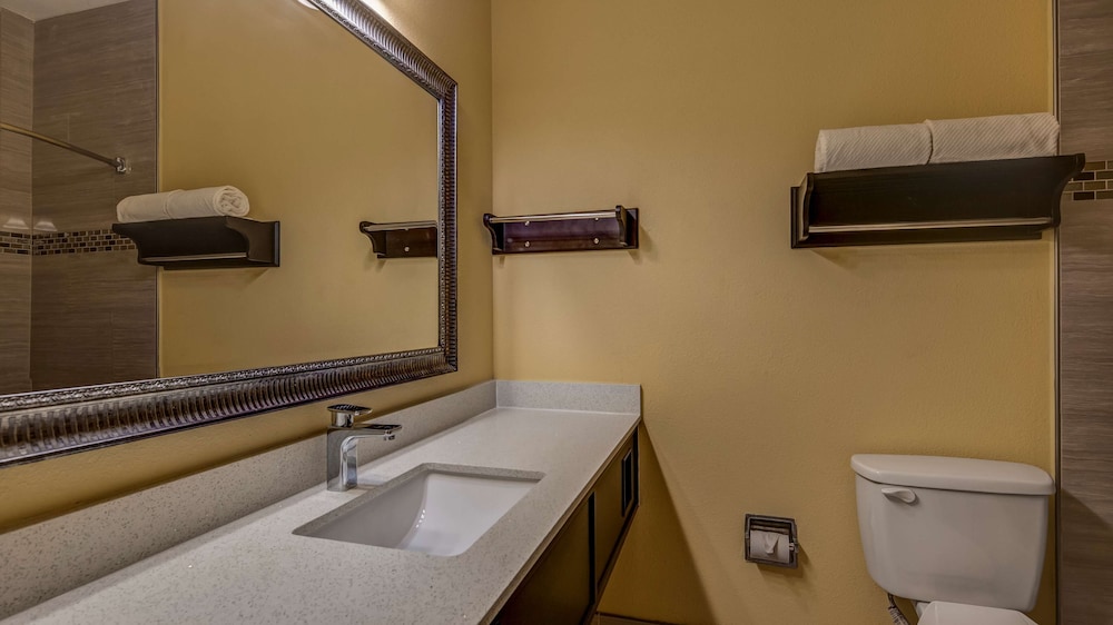 SURESTAY PLUS HOTEL BY BEST WESTERN ALVIN 11/36