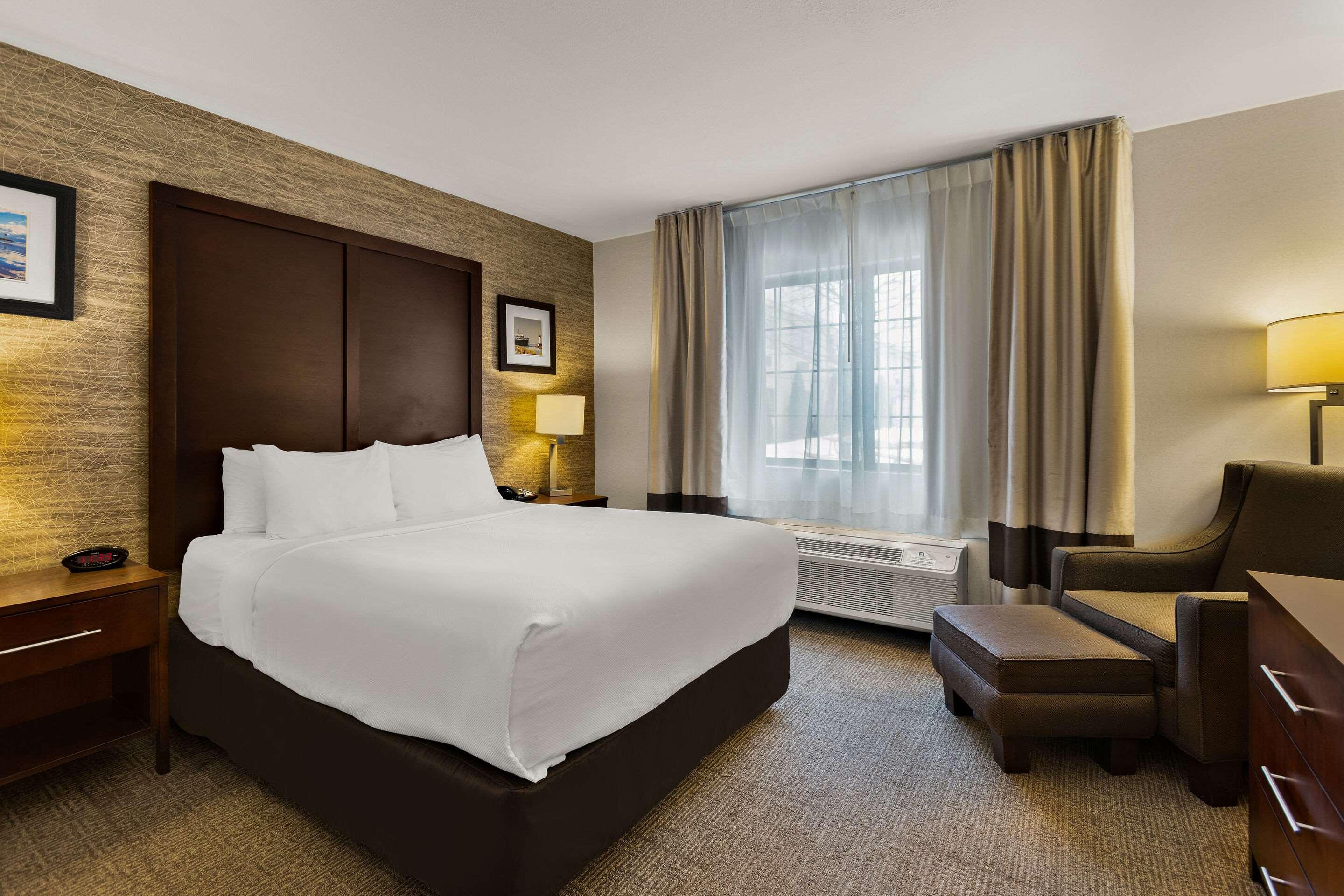 Suite, Queen Bed