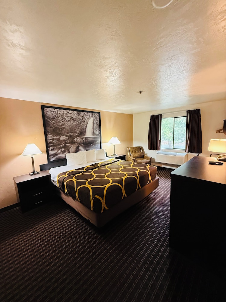 Super 8 By Wyndham Lacey Olympia Area 46/52