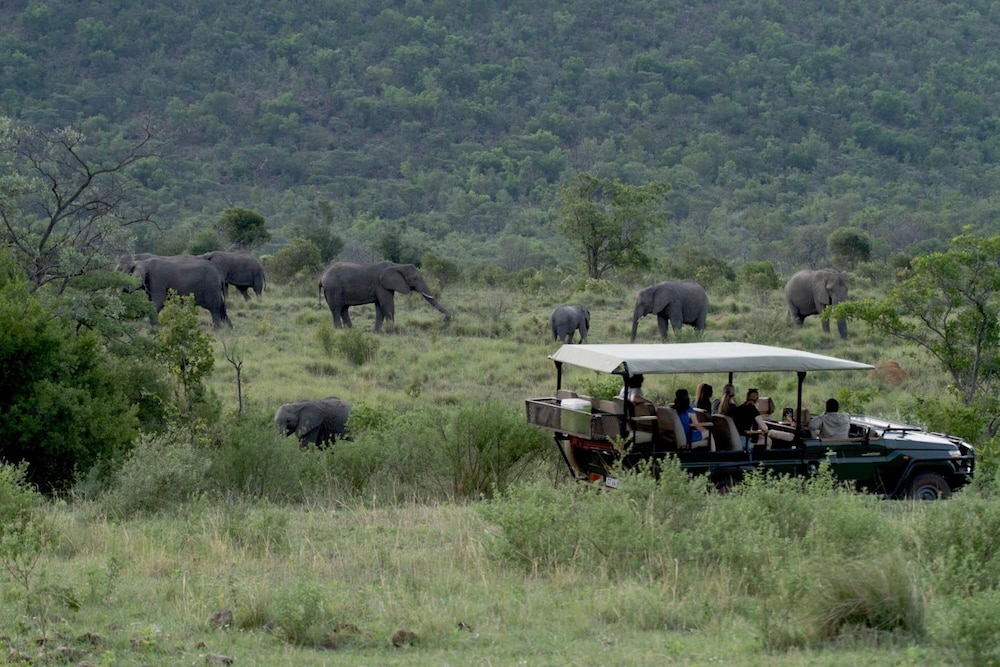 Inzalo Safari Lodge 36/45