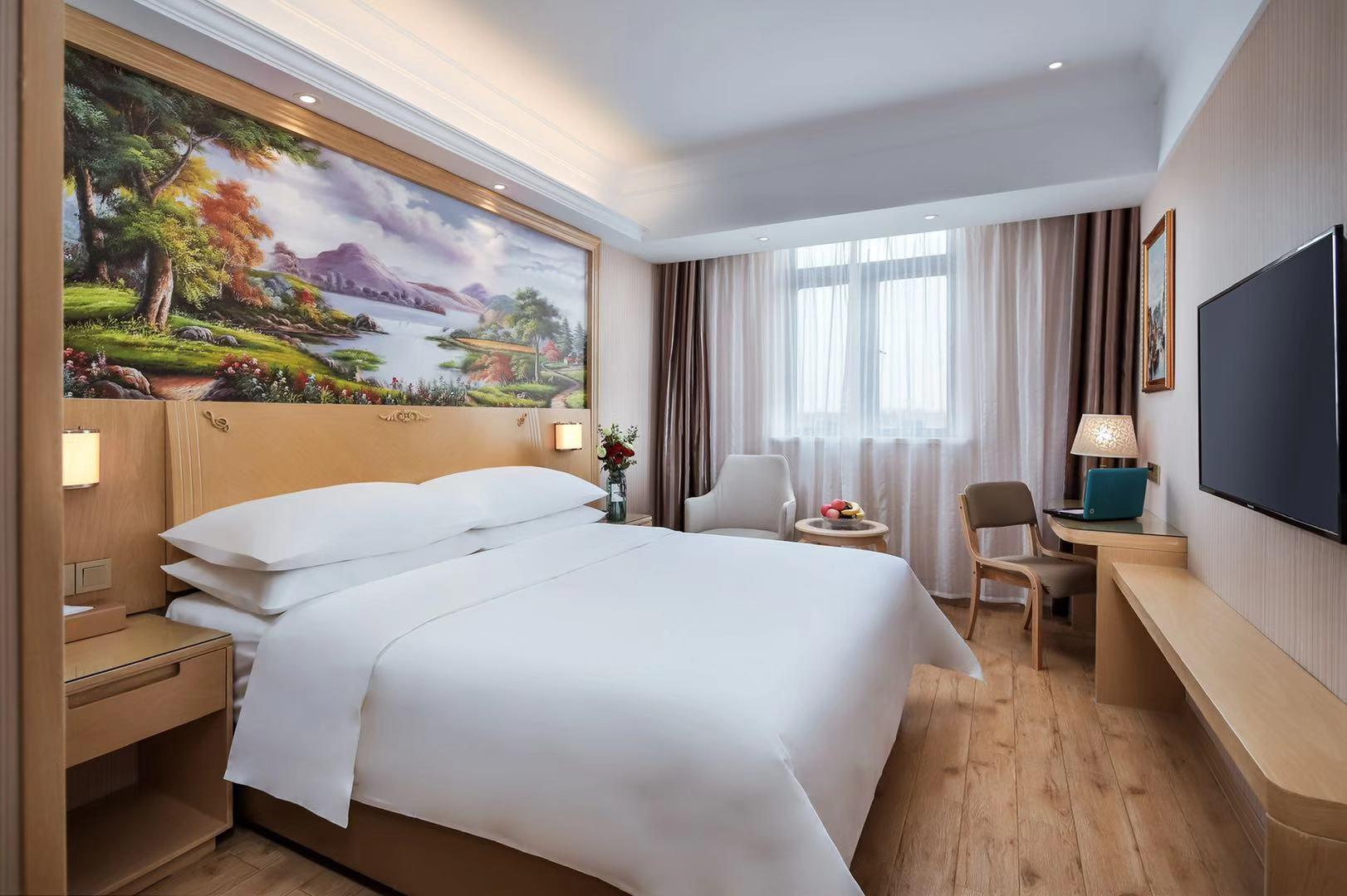 Vienna Hotel (Shanghai Hongmei South Road) 18/39