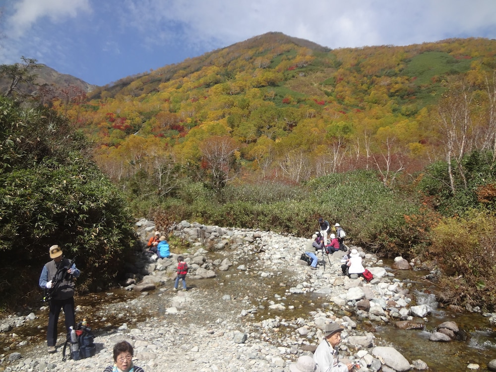 Pension Alps Hakuba 16/17