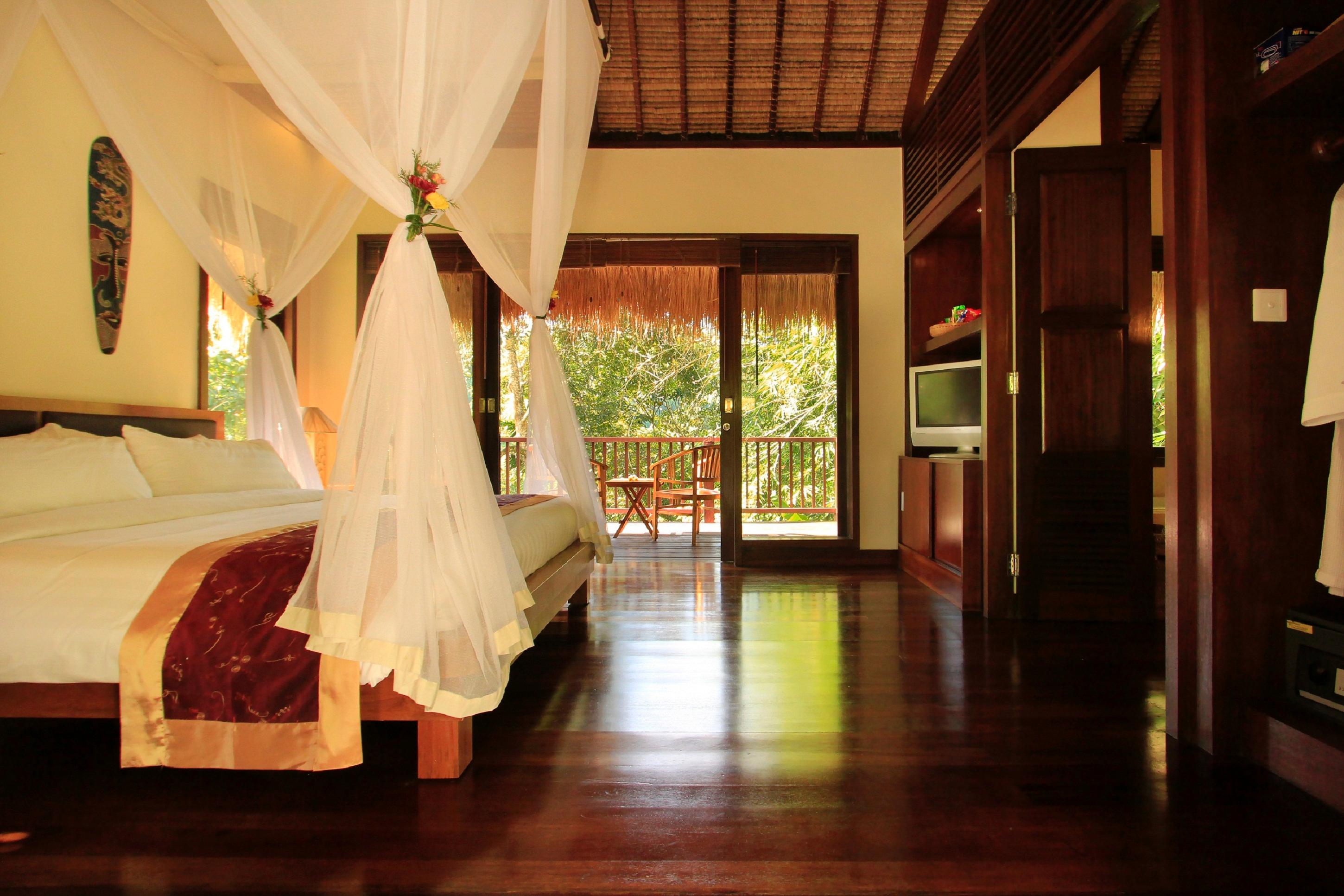 Room, Jungle View