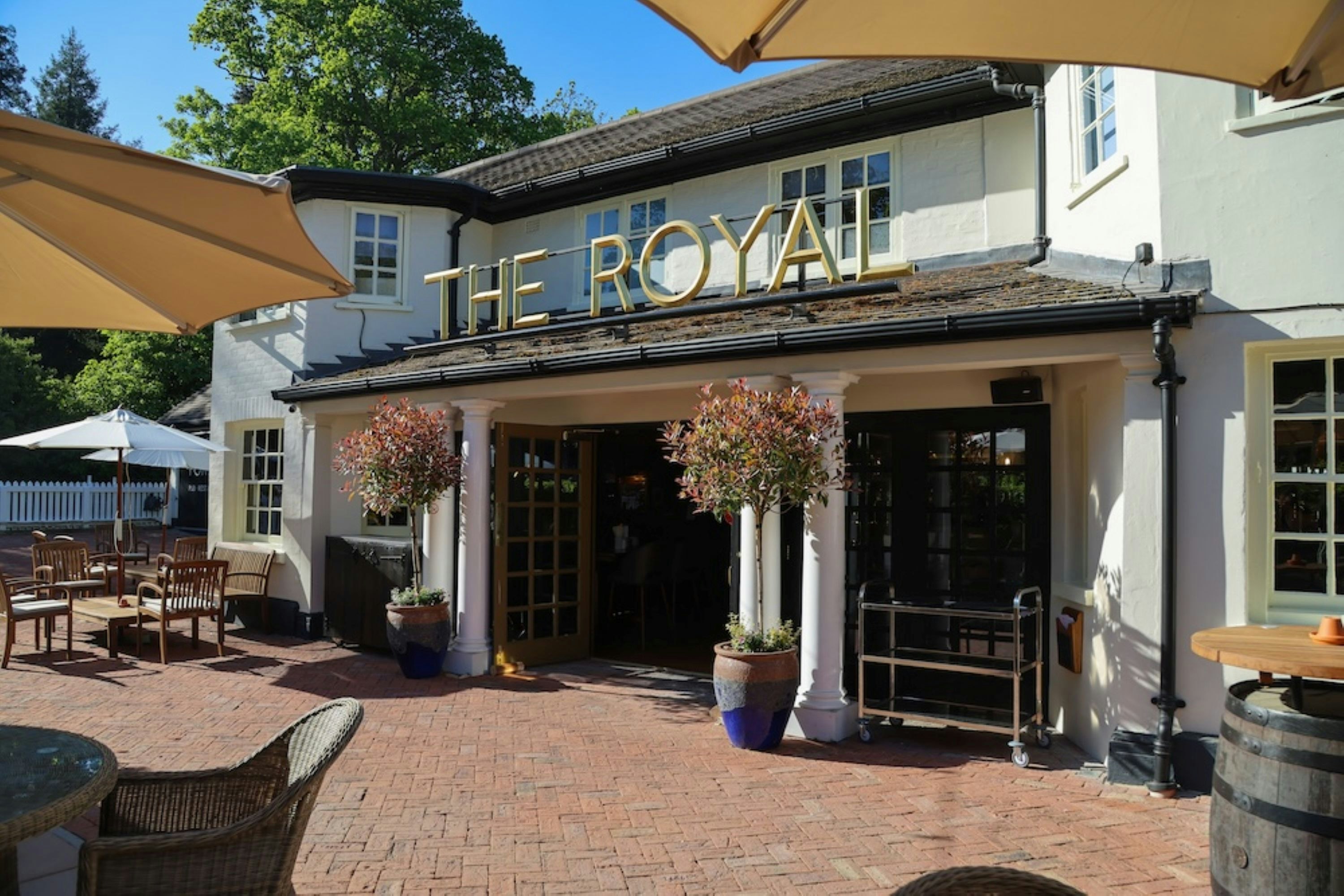The Royal Foresters 2/50