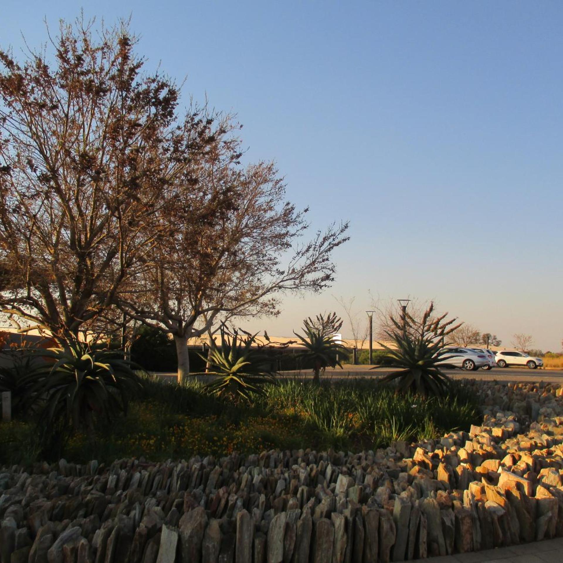 Maropeng Boutique Hotel 36/47