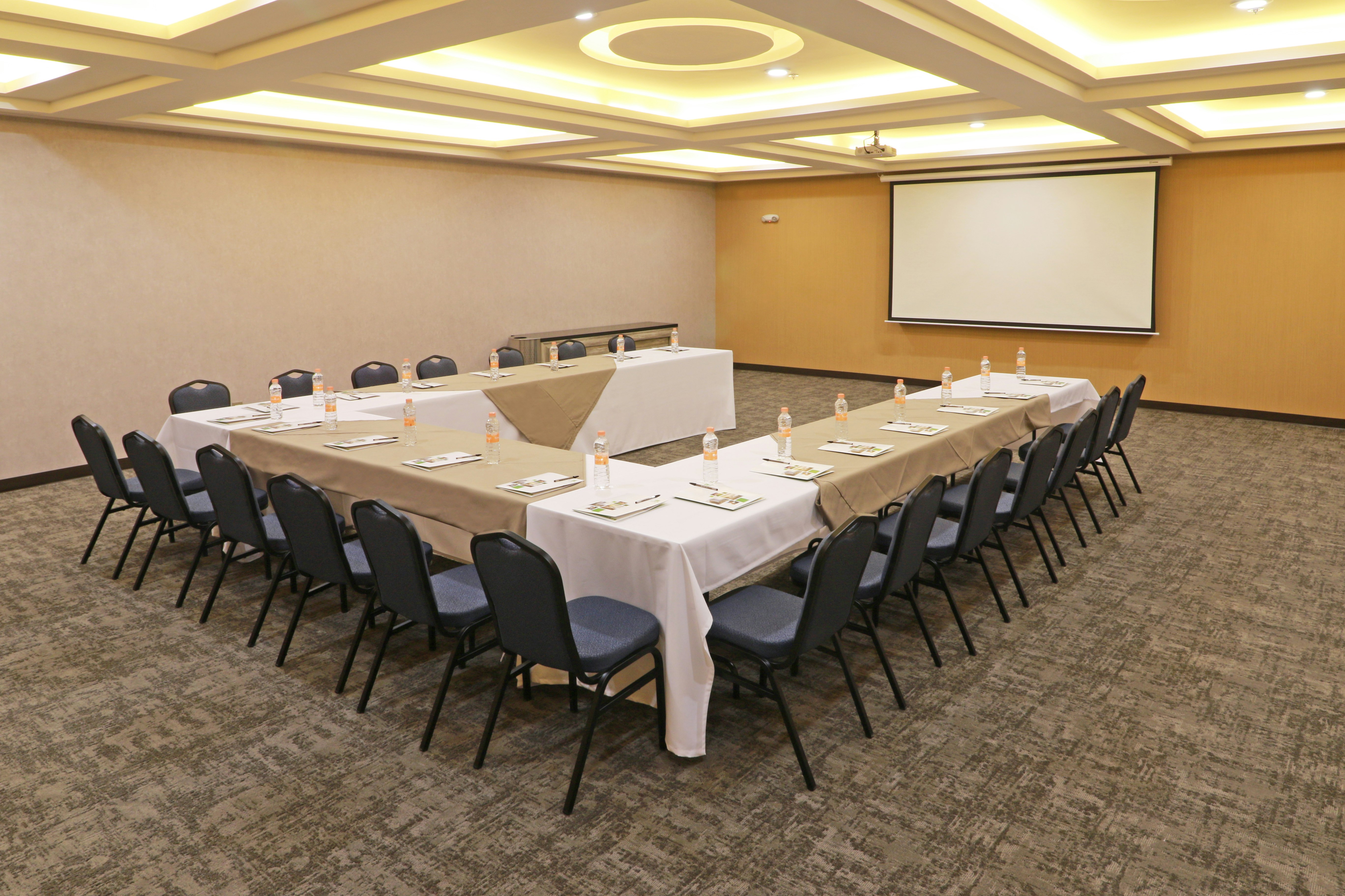 Holiday Inn Ciudad Juarez 40/50