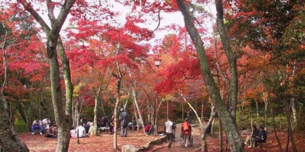 Arima Hot Spring Ryokan Kotori 66/74