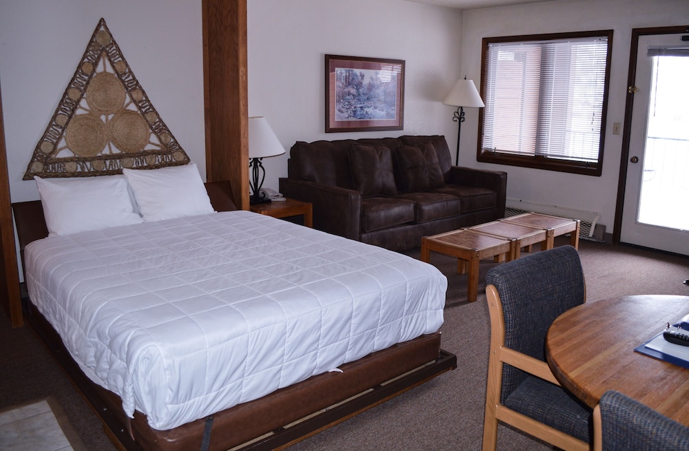 Studio, Queen Murphy Bed, No Air Condition, Sofa