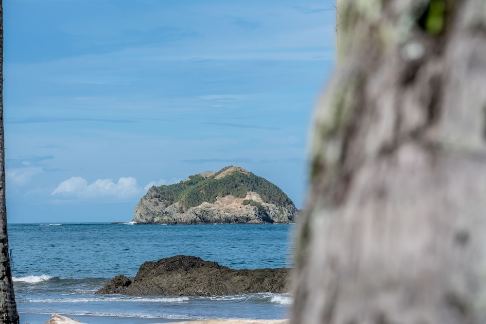 Manuel Antonio 34/49