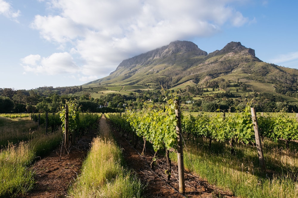 Banhoek Lodge 44/53