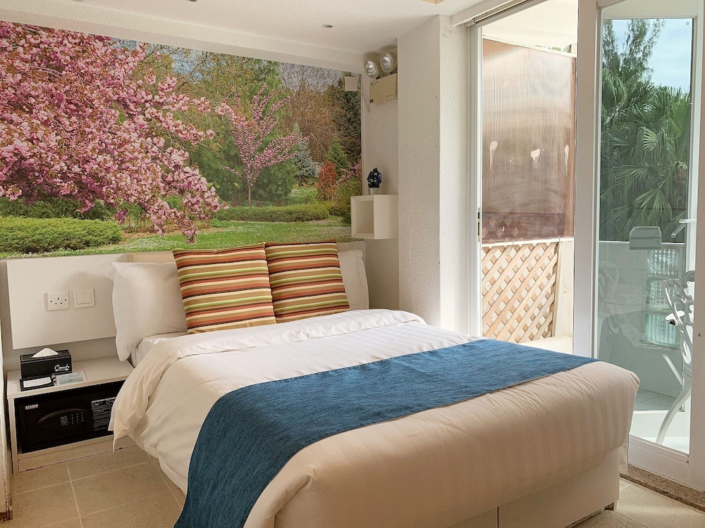 Concerto Inn 19/50