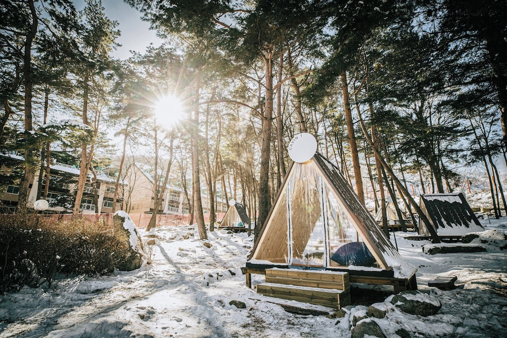 Phoenix Resort Pyeongchang 26/48