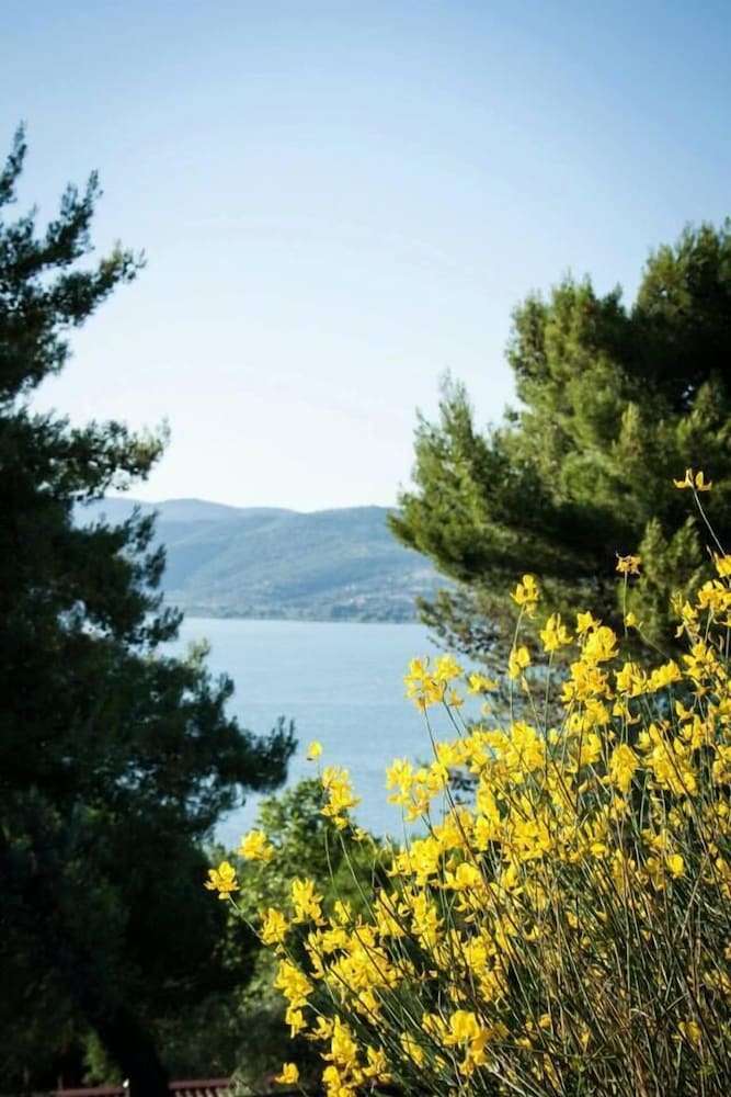 Camping Villaggio Cerquestra 38/50