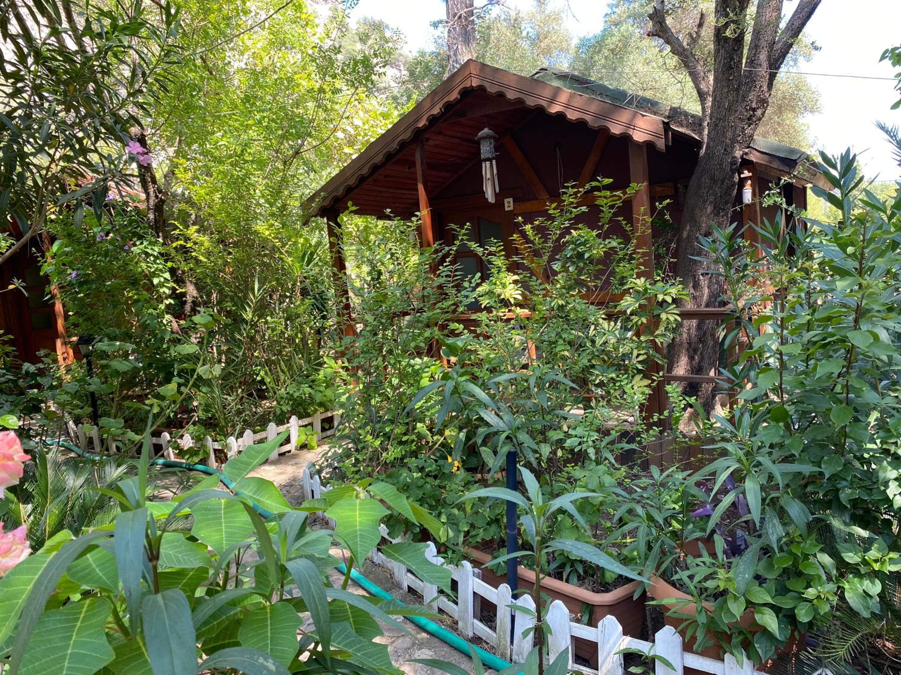 Canario Pension Bungalow 40/50