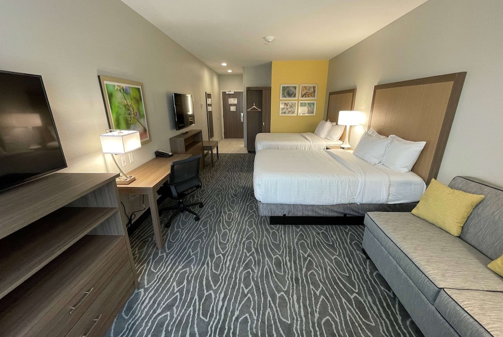 Studio, 2 Queen Beds