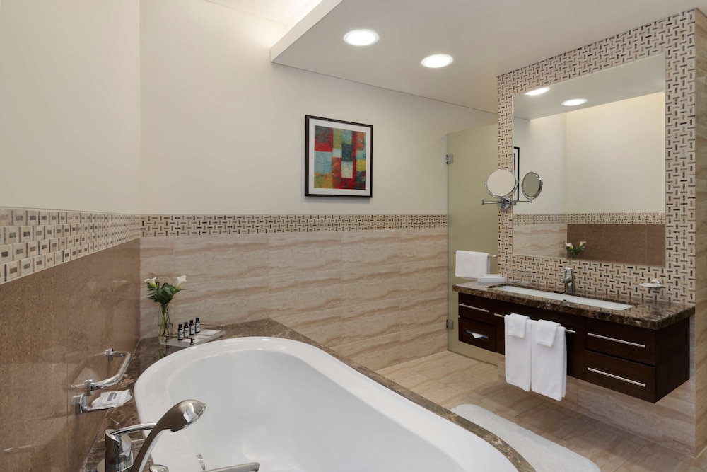 Hyatt Regency Oryx Doha 25/79