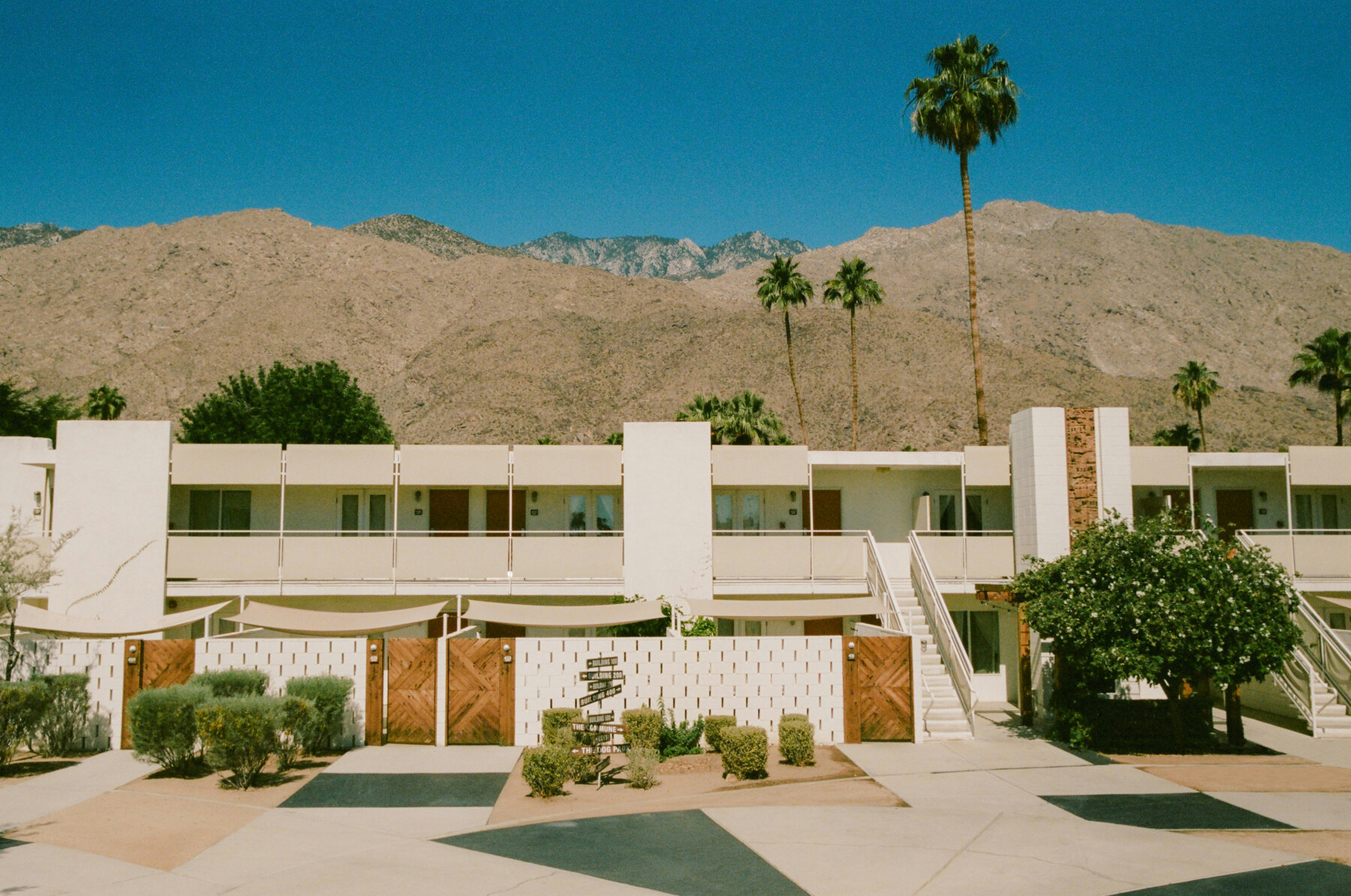 Ace Hotel 3/50