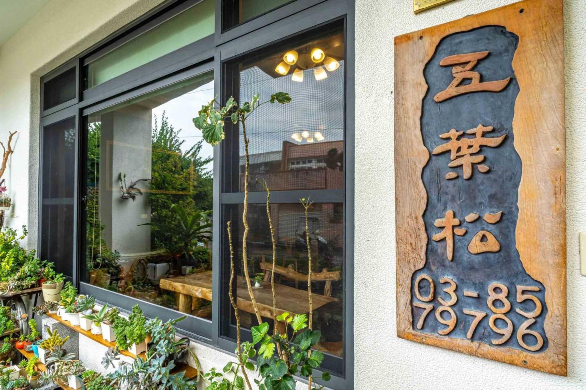 Hualien Pine 2/50