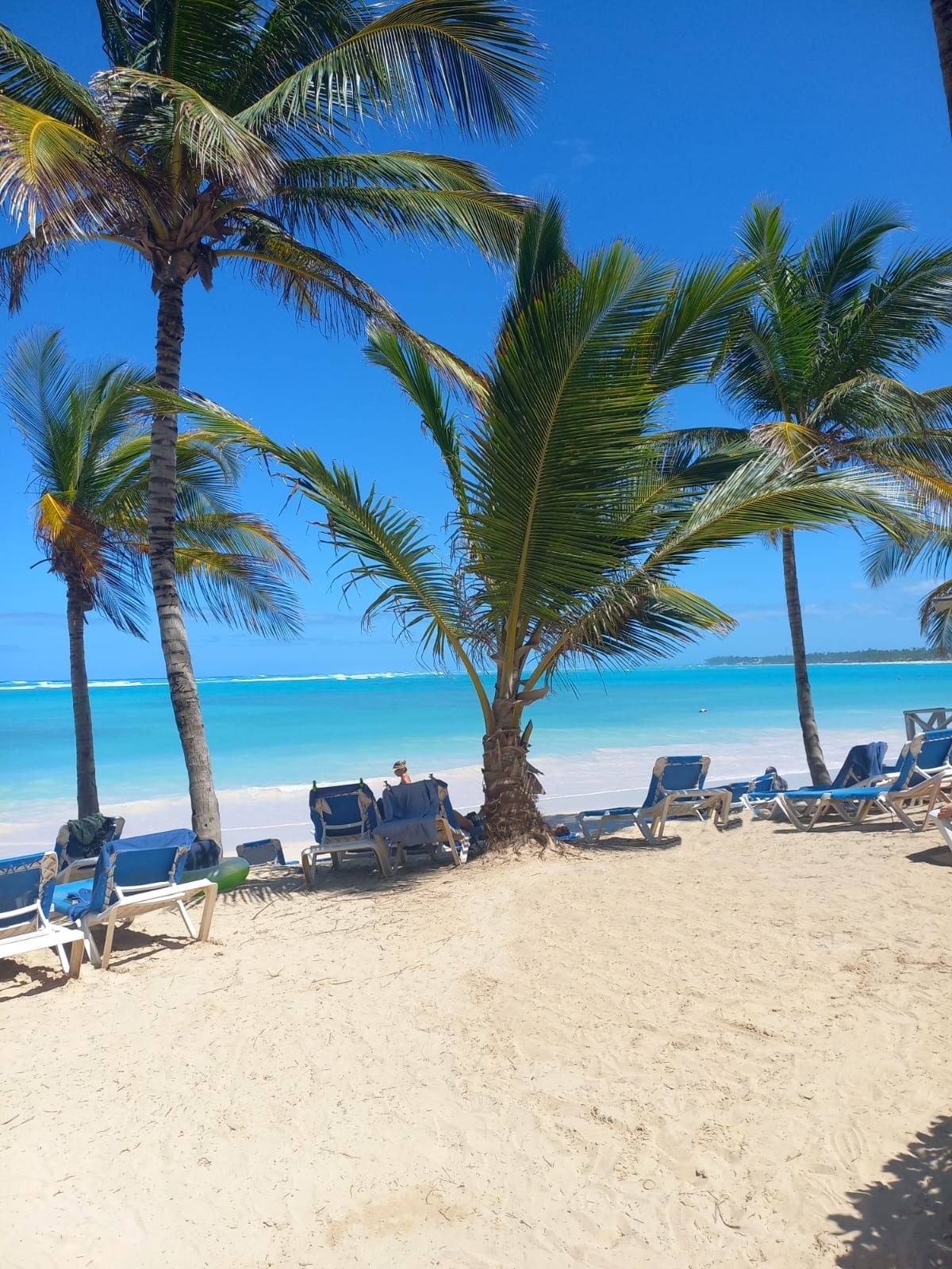 Vik Hotel Cayena Beach 30/41